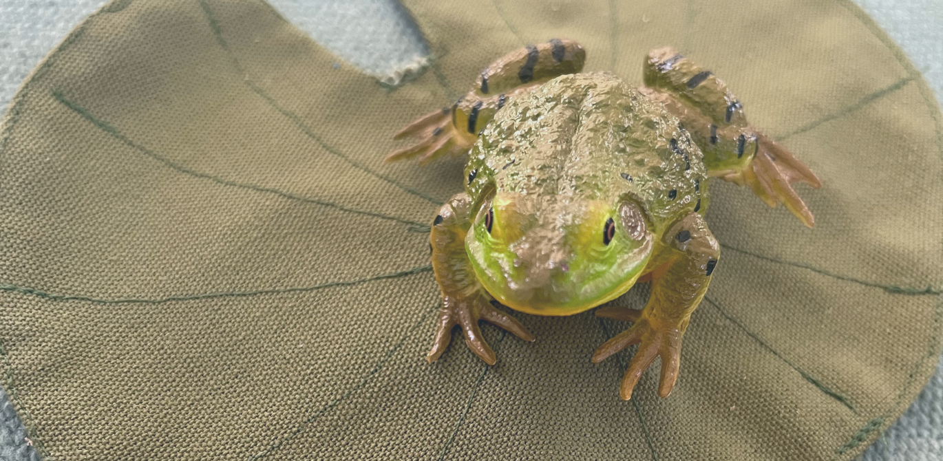 Bandeau univers la prairie
