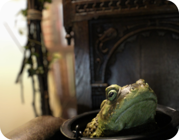 Photos maison des contes 5