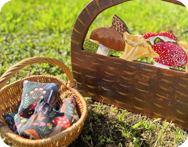 Photos univers la prairie 1