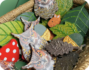 Photos univers la prairie 4