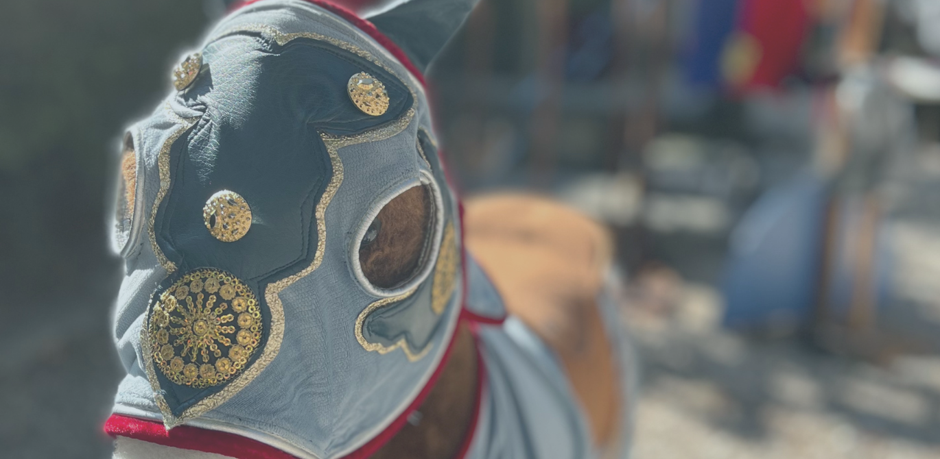 Bandeau tournoi de chevalerie